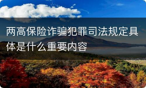 两高保险诈骗犯罪司法规定具体是什么重要内容