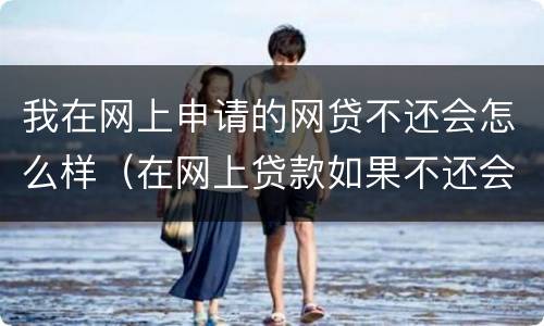 我在网上申请的网贷不还会怎么样（在网上贷款如果不还会怎么样）