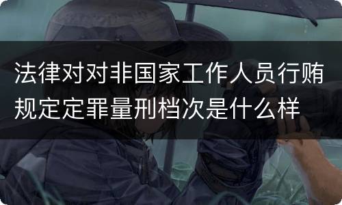 法律对对非国家工作人员行贿规定定罪量刑档次是什么样