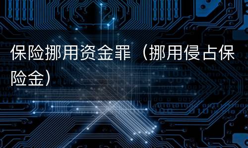 保险挪用资金罪（挪用侵占保险金）