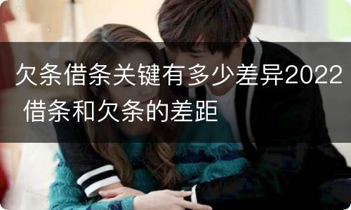 欠条借条关键有多少差异2022 借条和欠条的差距