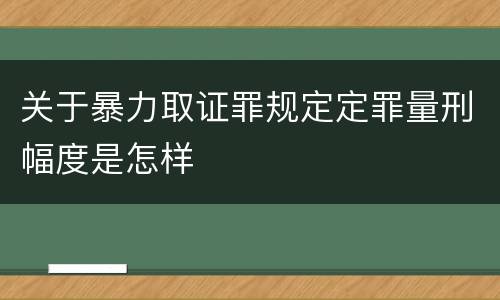 关于暴力取证罪规定定罪量刑幅度是怎样