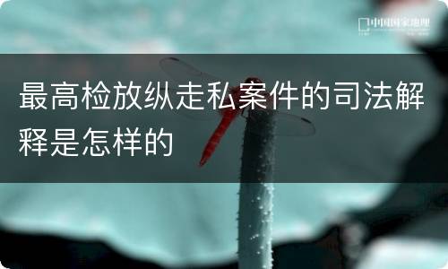 最高检放纵走私案件的司法解释是怎样的