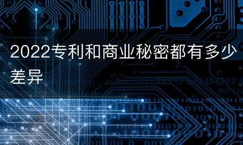 2022专利和商业秘密都有多少差异