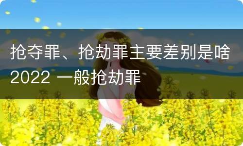 抢夺罪、抢劫罪主要差别是啥2022 一般抢劫罪