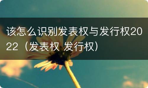 该怎么识别发表权与发行权2022（发表权 发行权）