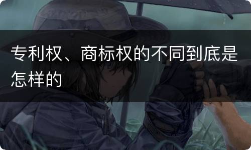 专利权、商标权的不同到底是怎样的