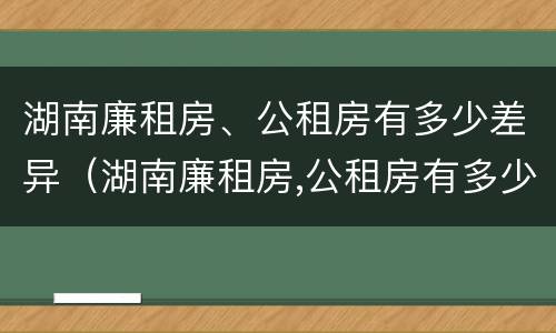 湖南廉租房、公租房有多少差异（湖南廉租房,公租房有多少差异呢）