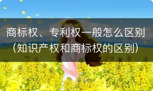 商标权、专利权一般怎么区别（知识产权和商标权的区别）
