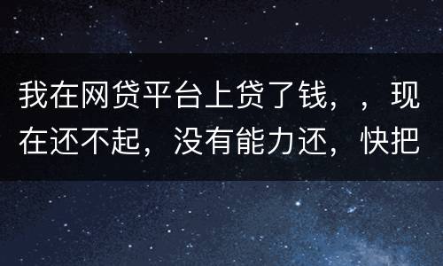 我在网贷平台上贷了钱，，现在还不起，没有能力还，快把家里人气死了，这可怎么办