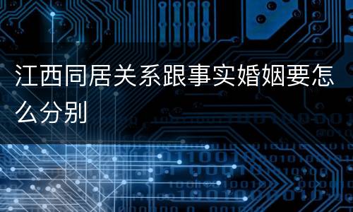 江西同居关系跟事实婚姻要怎么分别