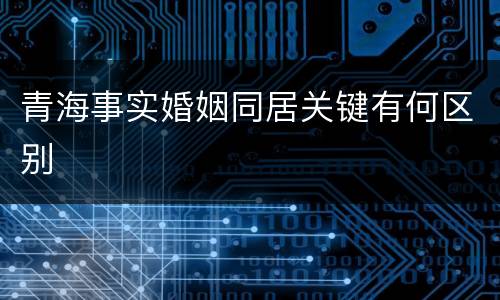 青海事实婚姻同居关键有何区别