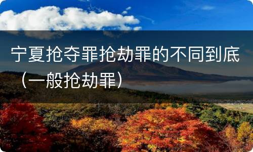 宁夏抢夺罪抢劫罪的不同到底（一般抢劫罪）