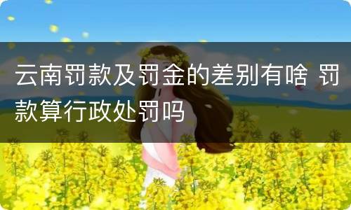 云南罚款及罚金的差别有啥 罚款算行政处罚吗