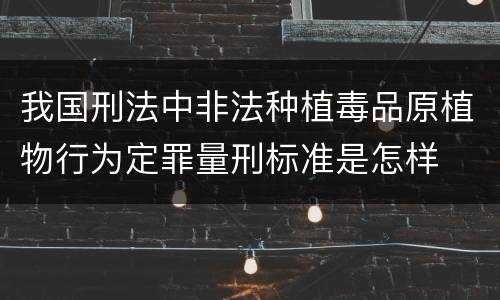 我国刑法中非法种植毒品原植物行为定罪量刑标准是怎样