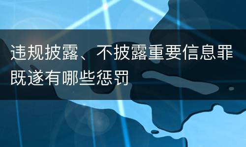 违规披露、不披露重要信息罪既遂有哪些惩罚