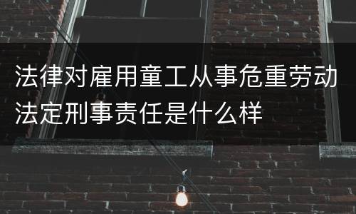 法律对雇用童工从事危重劳动法定刑事责任是什么样