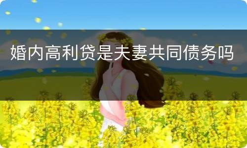 婚内高利贷是夫妻共同债务吗