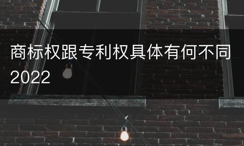 商标权跟专利权具体有何不同2022