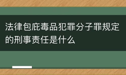 法律包庇毒品犯罪分子罪规定的刑事责任是什么