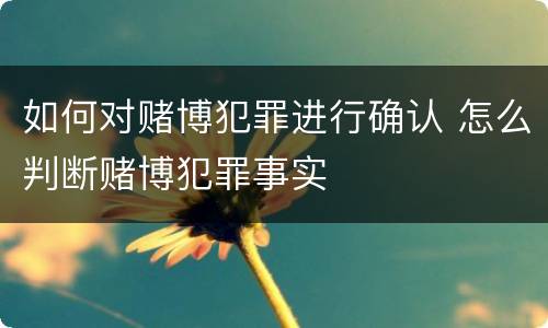 如何对赌博犯罪进行确认 怎么判断赌博犯罪事实