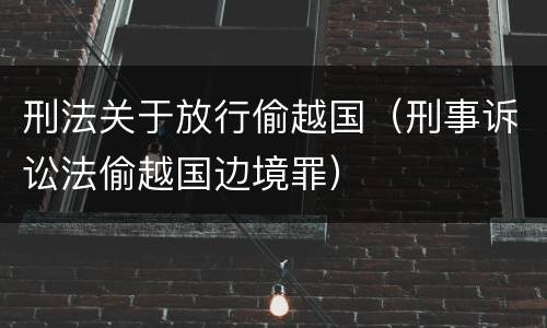 刑法关于放行偷越国（刑事诉讼法偷越国边境罪）