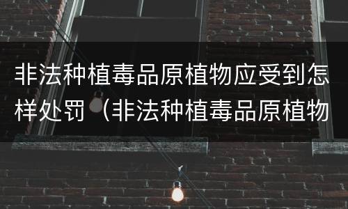 非法种植毒品原植物应受到怎样处罚（非法种植毒品原植物应受到怎样处罚和处罚）