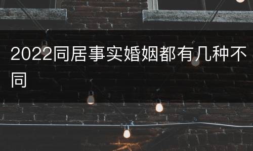 2022同居事实婚姻都有几种不同