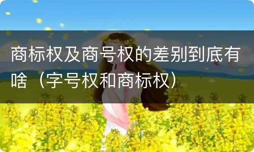 商标权及商号权的差别到底有啥（字号权和商标权）