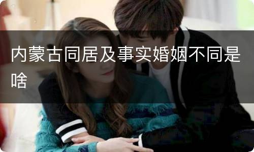 内蒙古同居及事实婚姻不同是啥