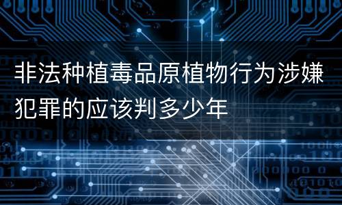 非法种植毒品原植物行为涉嫌犯罪的应该判多少年