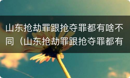 山东抢劫罪跟抢夺罪都有啥不同（山东抢劫罪跟抢夺罪都有啥不同之处）
