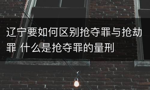 辽宁要如何区别抢夺罪与抢劫罪 什么是抢夺罪的量刑