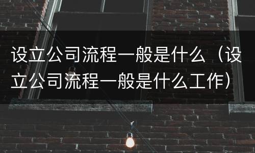 设立公司流程一般是什么（设立公司流程一般是什么工作）