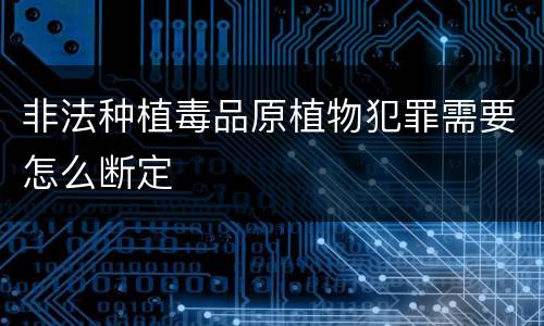 非法种植毒品原植物犯罪需要怎么断定