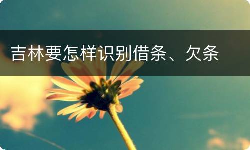 吉林要怎样识别借条、欠条