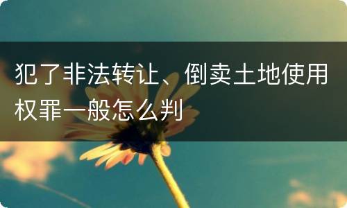 犯了非法转让、倒卖土地使用权罪一般怎么判