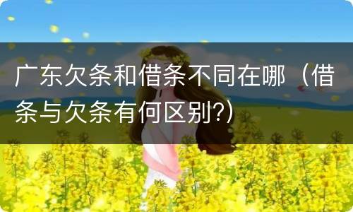 广东欠条和借条不同在哪（借条与欠条有何区别?）