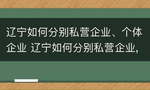 辽宁如何分别私营企业、个体企业 辽宁如何分别私营企业,个体企业和公司