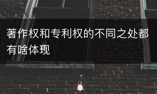 著作权和专利权的不同之处都有啥体现