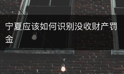 宁夏应该如何识别没收财产罚金
