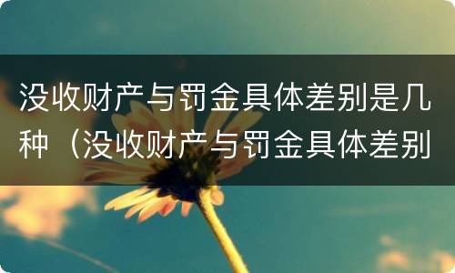没收财产与罚金具体差别是几种（没收财产与罚金具体差别是几种情形）