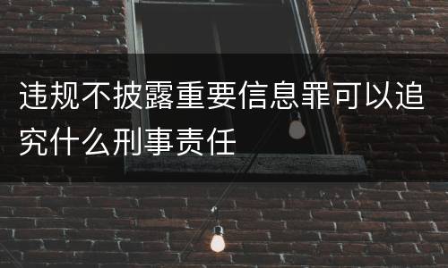 违规不披露重要信息罪可以追究什么刑事责任