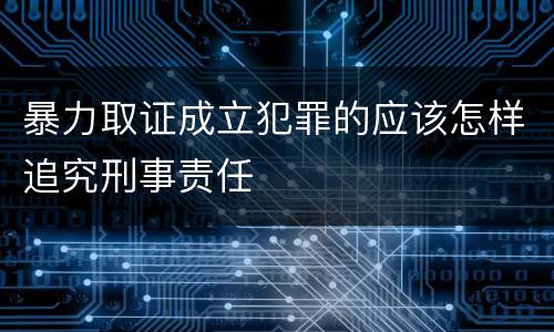 暴力取证成立犯罪的应该怎样追究刑事责任