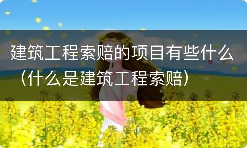 建筑工程索赔的项目有些什么（什么是建筑工程索赔）