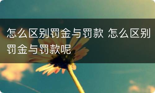 怎么区别罚金与罚款 怎么区别罚金与罚款呢