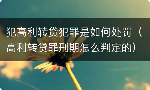 犯高利转贷犯罪是如何处罚（高利转贷罪刑期怎么判定的）