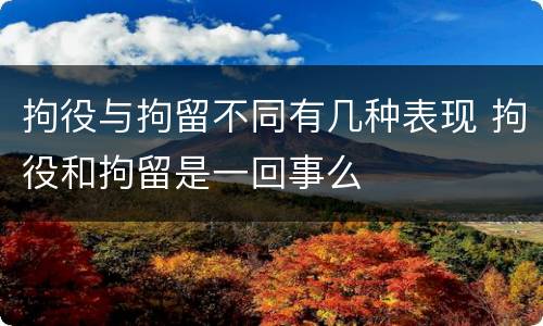拘役与拘留不同有几种表现 拘役和拘留是一回事么
