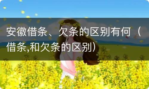 安徽借条、欠条的区别有何（借条,和欠条的区别）