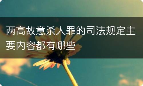 两高故意杀人罪的司法规定主要内容都有哪些
